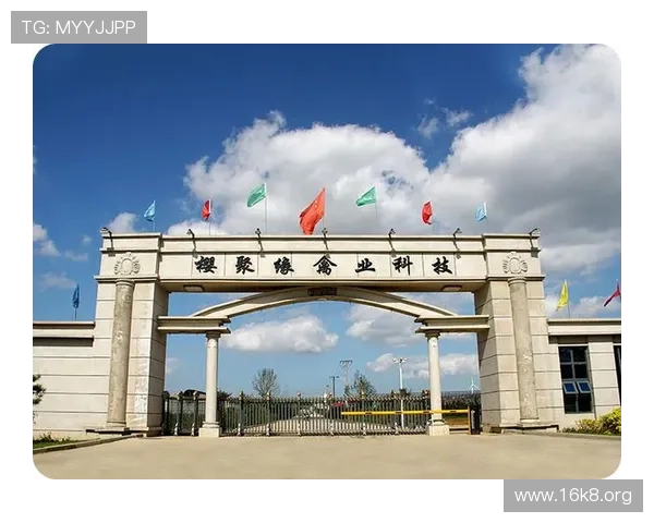 凯发旗舰厅官方地址在哪里，官方提供的最新地址信息汇总