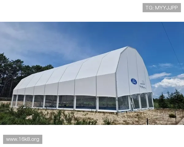 凯发电子官方网站新增多语言支持，满足全球用户多元化需求