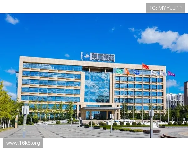 凯发体育集团网址查询常见问题解答帮助用户解决访问难题与安全疑虑